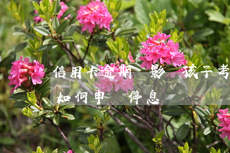 信用卡逾期會影響孩子考大學嗎？如何申請停息掛賬？